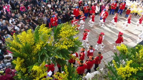 The Mimosa Festival will take place in Montenegro