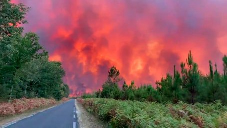 In France, forest fires are spreading due to the heat