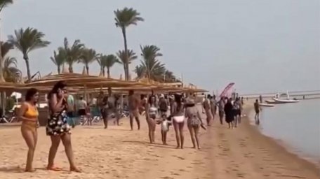 In Egypt, a tourist was attacked by a shark