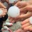 Giant hail fell in Catalonia