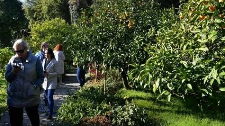 A "Friendship Garden" will be created in Sochi, where tourists will be able to plant trees