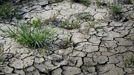 Europe is facing the worst drought in the last 500 years