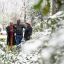 In South Africa, snow fell for the first time in 11 years