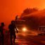 Forest fire engulfed Turkey