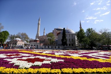 The Tulip Festival has started in Istanbul