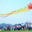 A Chinese man took to the sky on a kite